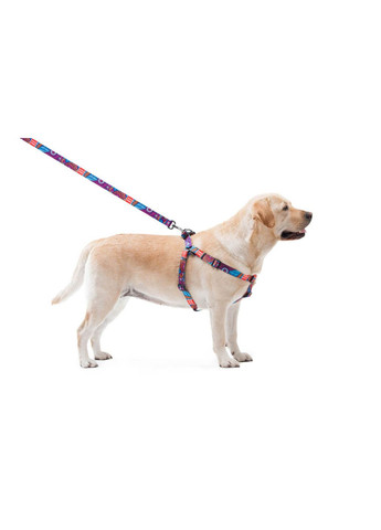 Шлея для собак Nylon c QR паспортом, рисунок "Лето", пластиковый фастекс, Ш 20 мм, Дл 50-80 см WAUDOG (279567968)