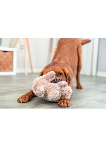 Іграшка Коала плюшева з перероблених матеріалів для собак 25 см (*) Trixie (330747505)