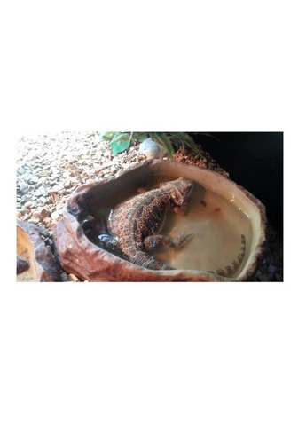 Миска для води S 15x12x4см (ERB09S) Repti-Zoo (322820041)