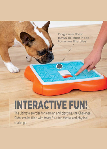 Іграшка інтерактивна для собак Пляшки (9no693430) Nina Ottosson (332878519)