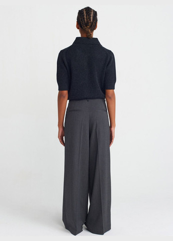 Брюки Dilvin (317190576)