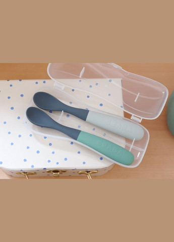 Набор силиконовых ложек зеленый/серый, 2 шт. () Beaba 913574 (328393593)