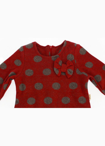 Красное платье с длинным рукавом флисовое горошек красное 122 см (35118) BABYKROHA (323469288)