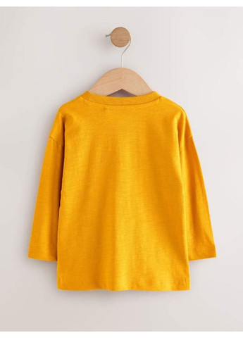 Разноцветный демисезонный лонгслив Next Trend