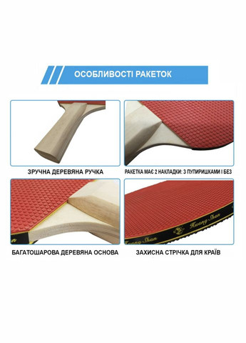 Набір для настільного тенісу VITOR NE-VT-6, 2 ракетки, 3 кульки, сітка Newt (343744648)