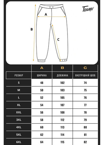 Черные демисезонные брюки Teamv