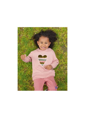 Кофта (свитшот) для девочки, утепленная Lupilu (362315725)