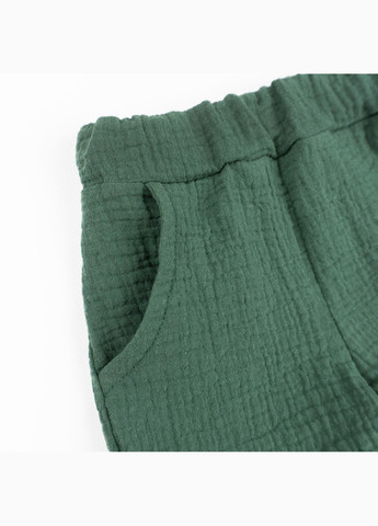 Зелений демісезонний костюм дитячий шорти та футболка emerald зелений dexter's