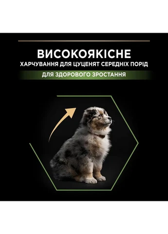 Сухий корм для щенят Dog Medium Puppy з високим вмістом курки 3 кг 12279403 Purina (390995716)