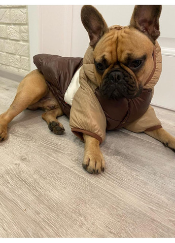 Зимняя куртка универсальная теплая для собак No Brand (362136340)