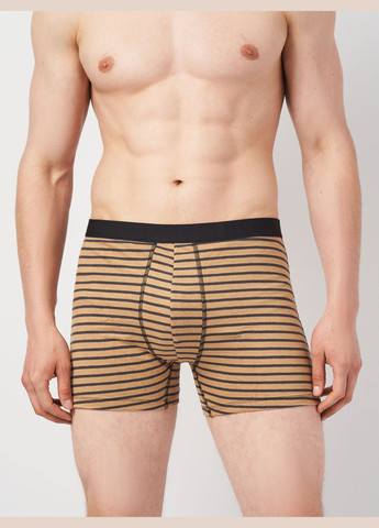 Трусы (3шт) Basic Collection (295079703)