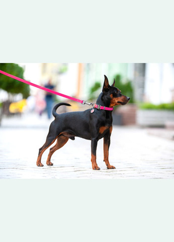 Ошейник для собак водостойкий Waterproof c QR-паспортом, металлическая пряжка-фастекс, Ш 25 мм, Дл 34-49 см розовый WAUDOG (332879788)