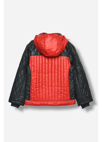 Красная демисезонная куртка детская для мальчика демисезонная красного цвета Let's Shop