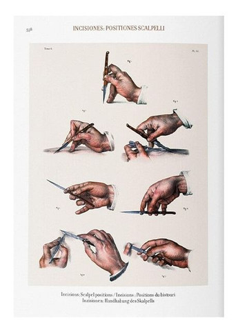 Книга Bourgery. Atlas of Human Anatomy and Surgery (формат 145*215мм) (9783836556620) Taschen (364654086)