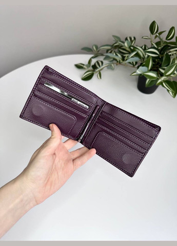 Жіночий гаманець з затискачем для купюр на магнітах Saralyn (280930790)