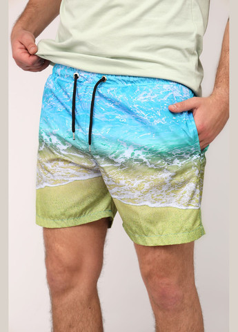 Шорты пляжные мужские цвет бирюзовый CB-00276216 ILBES (331284166)