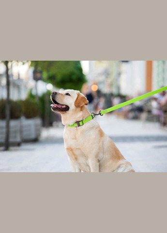 Поводок для собак водостойкий Waterproof, S, Ш 15 мм, Дл 183 см WAUDOG (279571071)