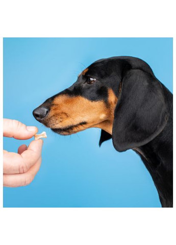 Витамины для собак ГАГ комплекс для суставов и связок 100 табл. (4823082431656) ProVET ГАГ комплекс для суглобів та зв&apos;язок 100 табл. (369883751)