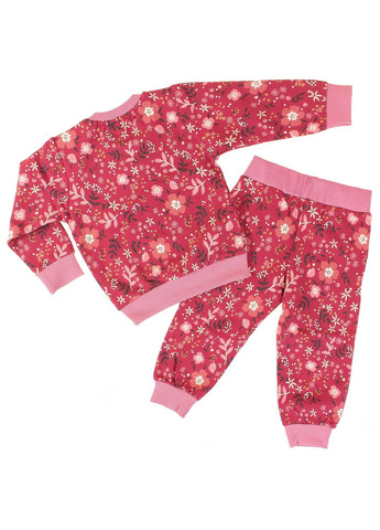 Красный зимний свитшот + брюки 17306 бордовый Breeze