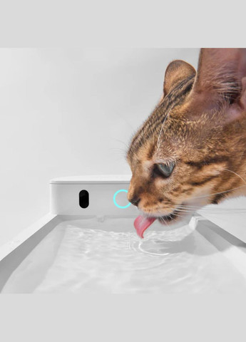 Поилка AI Water Fountain Wired (6972884750880) CATLINK (303613429)