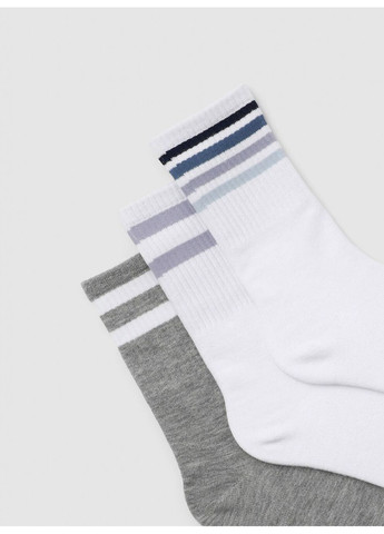 Синие набор носков женщин Terranova полоска (363045502)