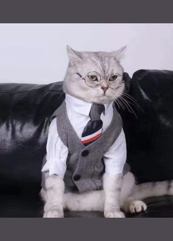 Окуляри для котів Pet Style 8 см Червоні No Brand (330982065)