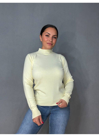 Светр жіночий A-N 106 водолазка гольф з коміром стійкою базовий No Brand (361966110)