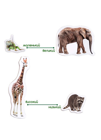 Набор магнитов Зоо 19шт ML4031-02 EN MAGDUM (334154654)