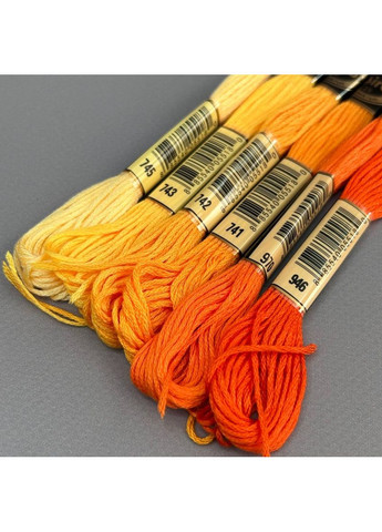 (6 шт по 8м) Набор мулине Airo (нити для вышивания) – оранжевый микс (745-946) Plus-plus (353393072)