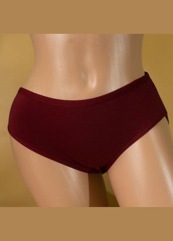 Трусики-сліпи жіночі трійки 3 шт Dominant (340462223)