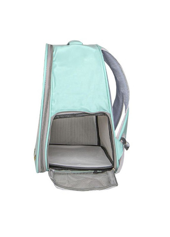 Рюкзак-переноска для кошек 261102 32*24*40 см Green 5 шт. Taotaopets (356500216)