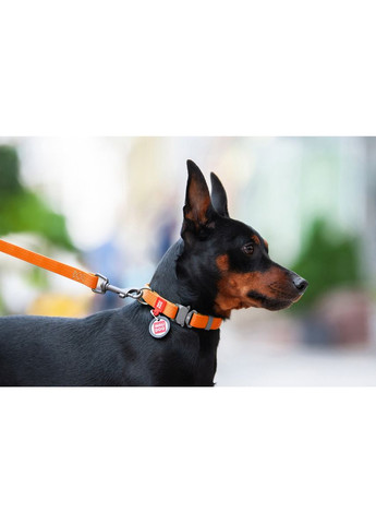 Нашийник для собак водостійкий Waterproof c QR паспортом, Ш 25 мм, Дов 34-49 см, помаранчевий WAUDOG (322642616)