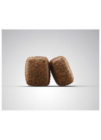 Сухий корм для собак (4032254745341) Josera Nature Energetic 900 г (370014646)