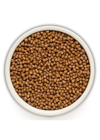 Сухий корм для кошенят Ягня та індичка для кошенят усіх порід 2 кг Grandorf (350351427)