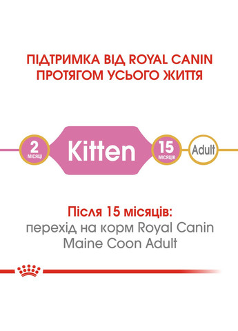 Сухий корм для кошенят Mainecoon Kitten 2 кг (3182550816502) (2558020) Royal Canin (279562200)