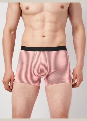 Трусы (3шт) Basic Collection (315007356)