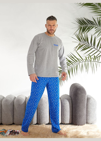 Мужской домашний трикотажный костюм (пижама) Tailer (317900535)