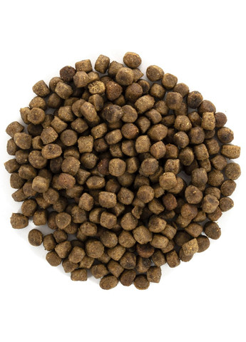 Сухий корм для кошенят Cat GF Kitten Growth & Developmen з куркою та індичкою 7 кг Brit Care (306733990)