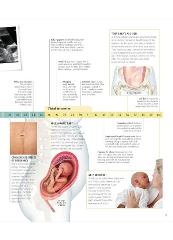 The Pregnancy Encyclopedia. All Your Questions Answered Dorling Kindersley (370391321)