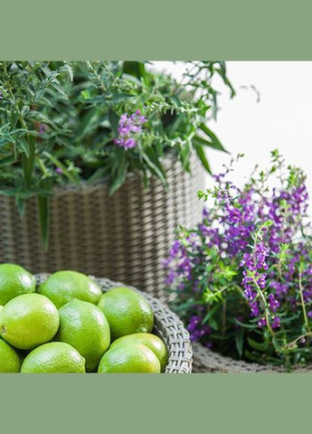 Вазон Cylinder Planter L 39 л сірий Keter (316612825)