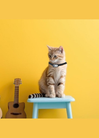 Беспроводная камера ошейник для домашних животных Fils (295574167)