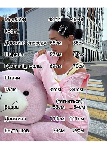 Стильный женский спортивный костюм на флисе No Brand (362588315)