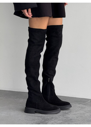 Черные осенние ботфорты зимние No Brand