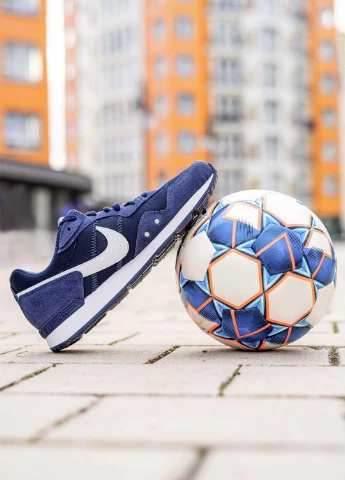 Синие демисезонные мужские кроссовки venture runner синий Nike