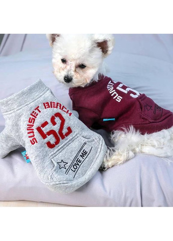 Костюм ТОЛСТОВКА с номером (размер XS) серая No Brand (368710440)