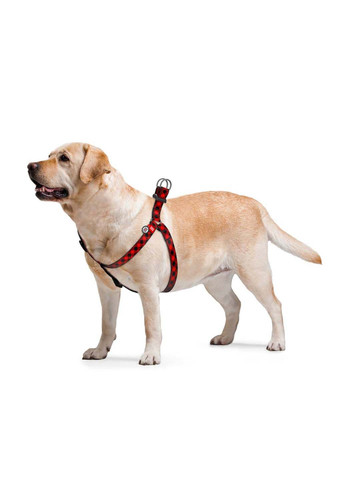 Шлея для собак анатомічна Nylon Шотландка червона пластиковий фастекс Ш 25 мм Дл 60-90 см WAUDOG (292175247)