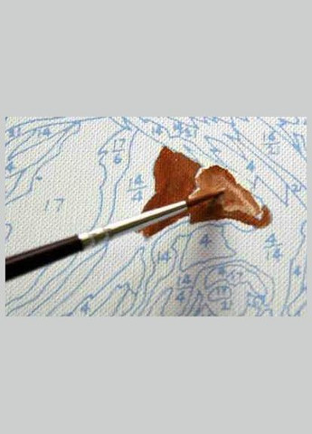 Картини за номерами Політ у небесах BS52837 40х50 см Brushme (308988798)