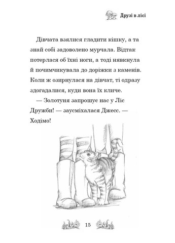 Зіпсоване свято Еллі Жовтодзьобик Stone Publishing (370135223)