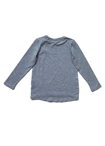 Серый демисезонный костюм реглан серый + джогеры серые 104 брючный OVS