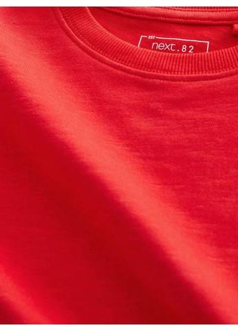 Разноцветный демисезонный лонгслив Next Trend